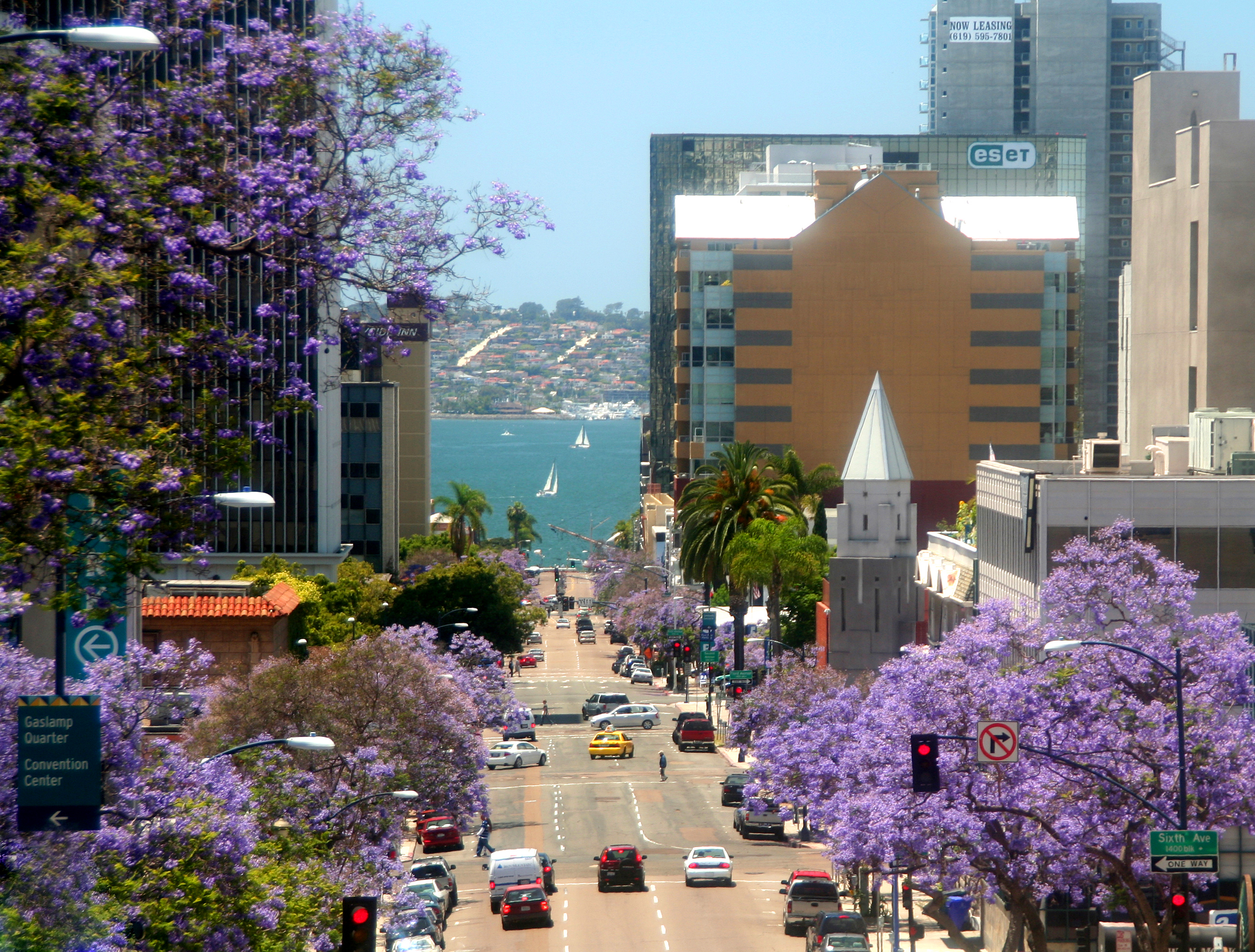 downtown-ash-street-jacarandas-courtesy-sandiego-org